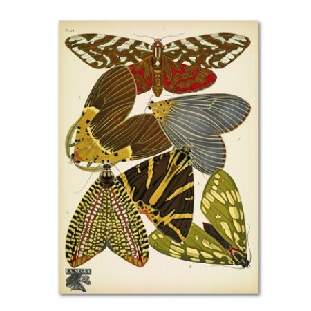 Trademark Fine Art Vintage Apple Collection 'Papillons 14' Canvas Art, 18x24 ALI10161-C1824GG